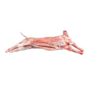 Whole Lamb